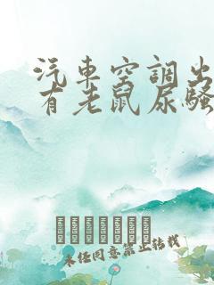 汽车空调出风口有老鼠尿骚味