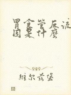 胃食管反流的原因是什么