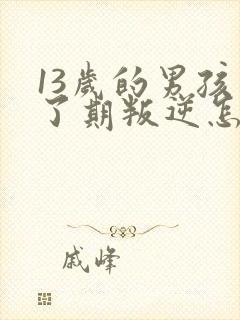 13岁的男孩到了期叛逆怎么教