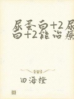 尿蛋白+2尿蛋白+2能治疗吗