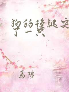 狗的后腿突然瘸了一只