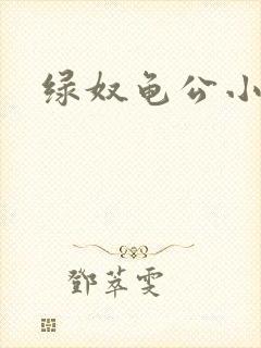 绿奴龟公小说