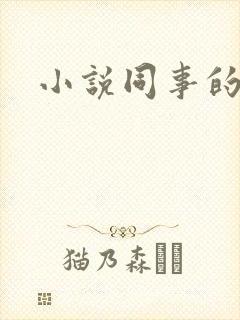 小说同事的妻子