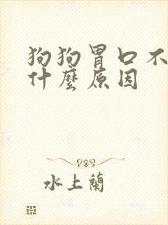 狗狗胃口不好是什么原因