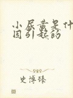 小尿黄是什么原因引起的