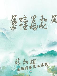 属蛇男和属蛇女最佳婚配