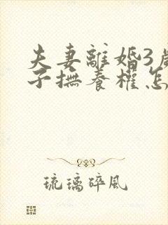 夫妻离婚3岁孩子抚养权怎么判定