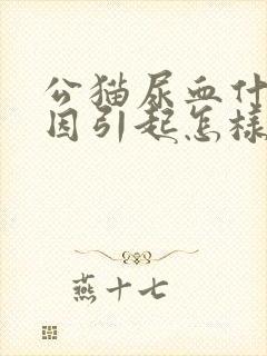 公猫尿血什么原因引起怎样治疗