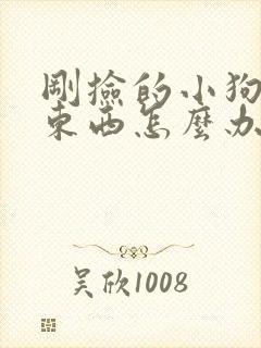 刚捡的小狗不吃东西怎么办