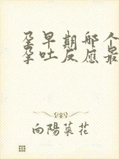 孕早期哪个阶段孕吐反应最严重