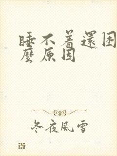 睡不着还困是什么原因