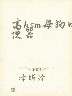 高hsm母狗肉便器