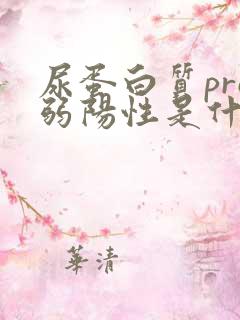 尿蛋白质pro弱阳性是什么意思