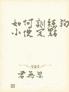 如何训练狗狗大小便定点