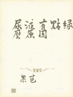 尿液有点绿是什么原因