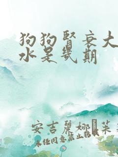 狗狗肾衰大量喝水是几期