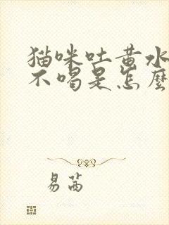 猫咪吐黄水不吃不喝是怎么回事