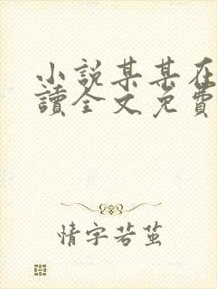 小说某某在线阅读全文免费