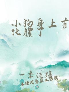 小狗身上有伤口化脓了