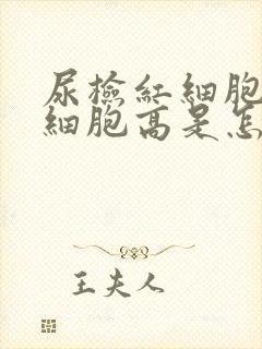 尿检红细胞高白细胞高是怎么回事