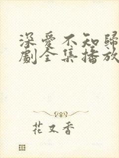 深爱不知归路短剧全集播放