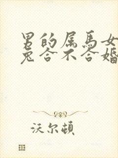 男的属马女的属兔合不合婚