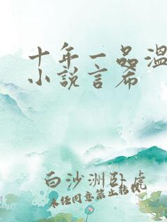 十年一品温如言小说言希