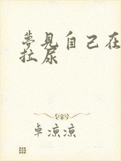 梦见自己在厕所拉尿