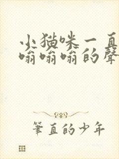 小猫咪一直发出嗡嗡嗡的声音