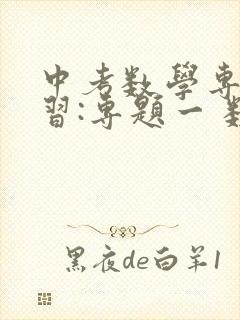 中考数学专题复习:专题一 数与式