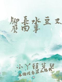 脚长水豆又痒怎么回事