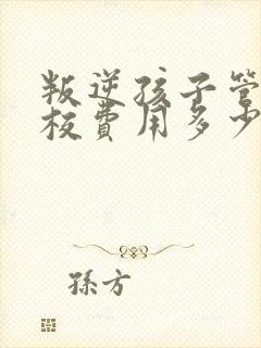 叛逆孩子管教学校费用多少