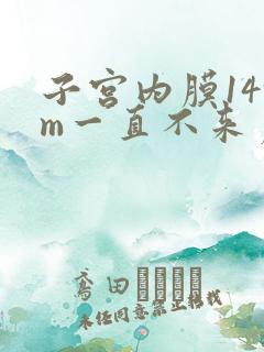 子宫内膜14mm一直不来月经怎么办