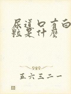 尿道口有白色颗粒是什么