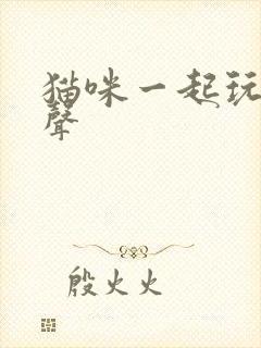 猫咪一起玩的叫声