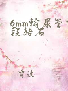 6mm输尿管下段结石