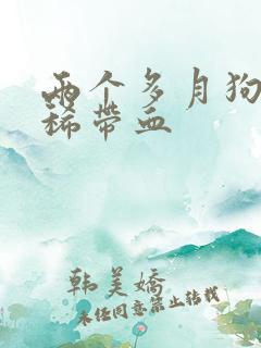 两个多月狗狗拉稀带血