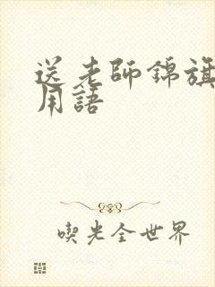 送老师锦旗最佳用语