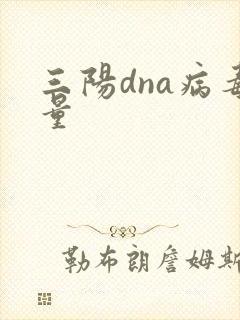 三阳dna病毒量