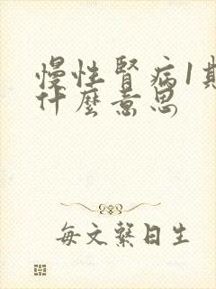 慢性肾病1期是什么意思