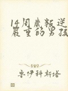 14周岁叛逆期严重的男孩如何管教