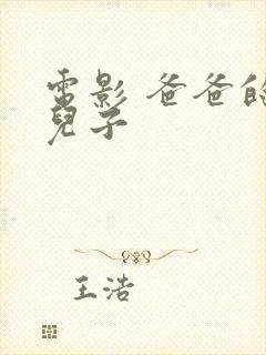 电影 爸爸的好儿子