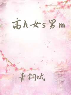 高h女s男m