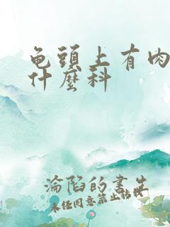 龟头上有肉粒挂什么科