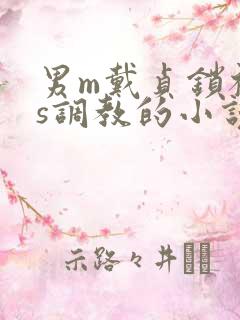 男m戴贞锁被女s调教的小说