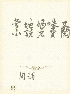 爹地妈咪又跑了小说免费阅读全集