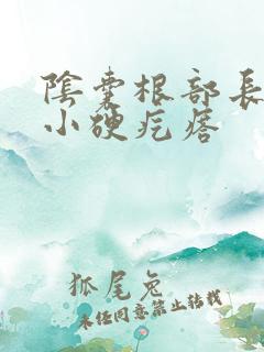 阴囊根部长了个小硬疙瘩