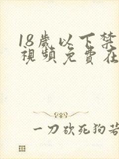 18岁以下禁看视频免费在线观看
