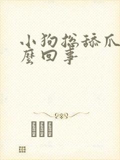 小狗总舔爪子怎么回事