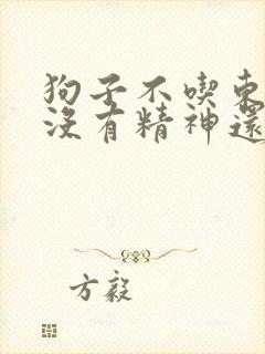 狗子不吃东西,没有精神还吐